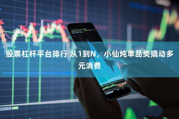 股票杠杆平台排行 从1到N，小仙炖单品类撬动多元消费